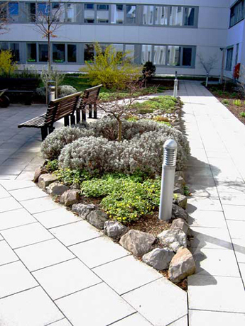 n_n_b_24  Fruehjahr2.jpg